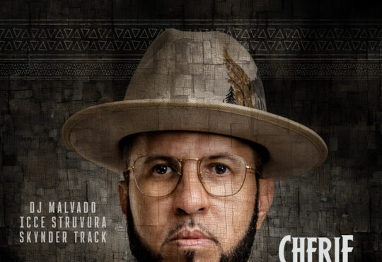DJ Malvado - Cherie (ft. Icce Struvura e Skynder Track)