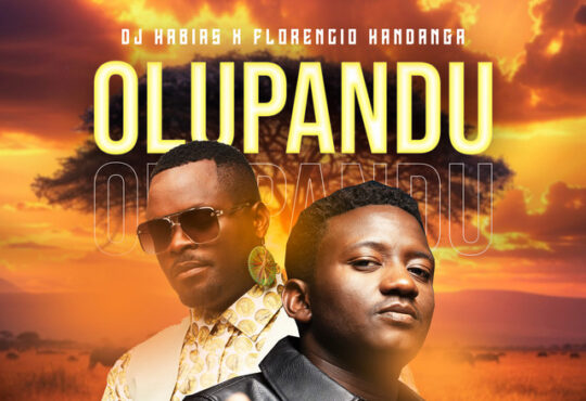 Dj Habias ft. Florencio Handanga - Olupandu